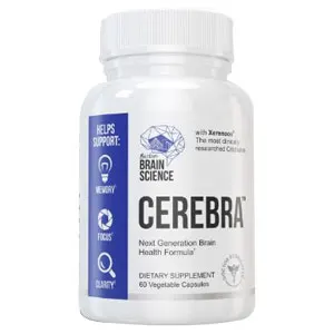 Cerebra