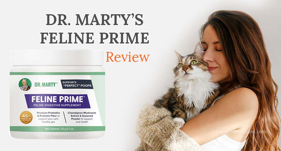 Dr. Marty Feline Prime Reviews - Is It Good for Your Cat?