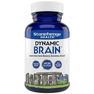 Dynamic Brain