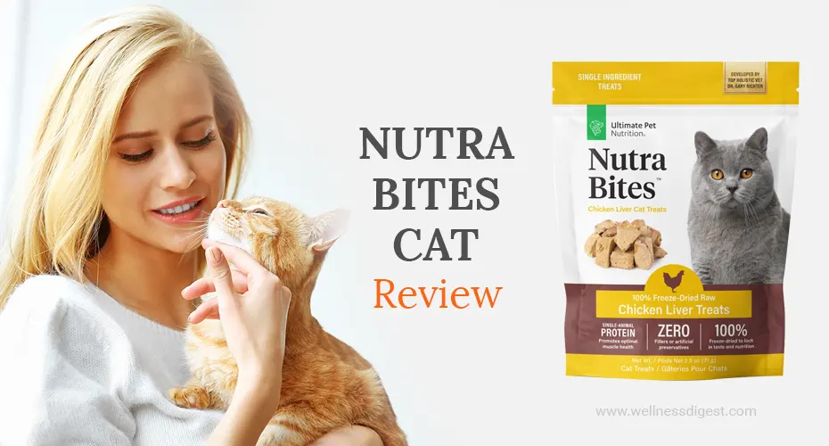 Nutra Bites Cat Review